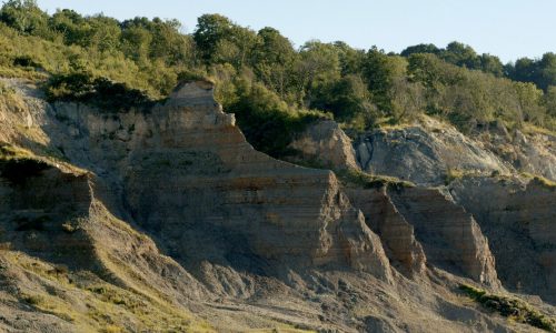 Les falaises des vaches noires : un site paléontologique d’exception