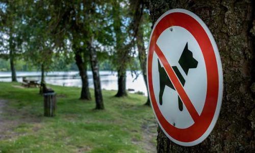 Règlementations concernant les animaux