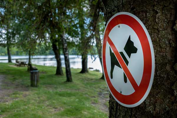 Règlementations concernant les animaux