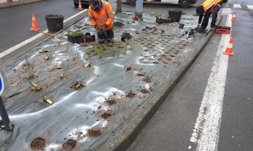 Les espaces verts de la ville