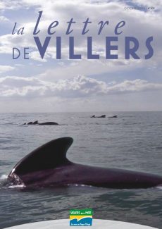 Lettre de Villers N°105