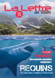 Lettre de Villers N°143