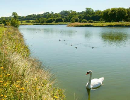 https://www.villers-sur-mer.fr/wp-content/uploads/2021/04/Animaux.jpg