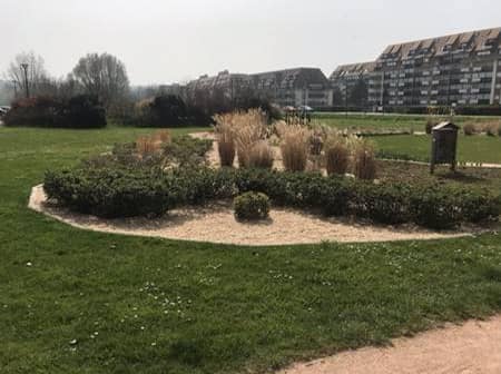 https://www.villers-sur-mer.fr/wp-content/uploads/2021/04/apicite.jpg