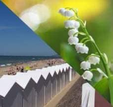 https://www.villers-sur-mer.fr/wp-content/uploads/2021/04/muguet.jpg