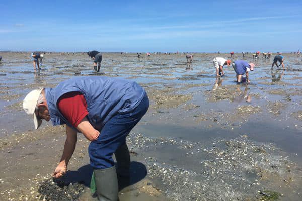 https://www.villers-sur-mer.fr/wp-content/uploads/2021/04/peche.jpg