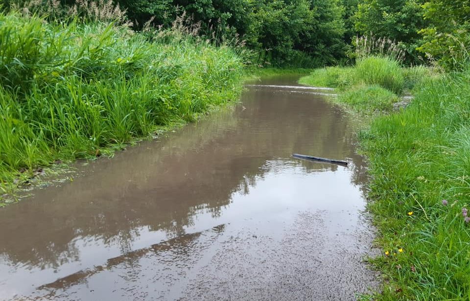 https://www.villers-sur-mer.fr/wp-content/uploads/2021/06/ENVIRONNEMENT-2-960x615.jpg