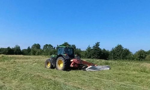 ENVIRONNEMENT : nous faisons les foins dans le marais