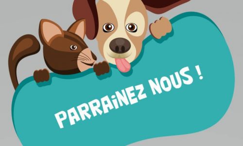 ANIMAUX : mise en place prochainement d’un programme de parrainage d’animaux.