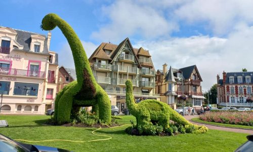 LA MAIRIE A VOTRE SERVICE : nos dinosaures sont en pleine forme (ont retrouvé leurs formes 😊)