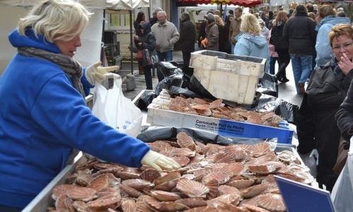 FÊTE DE LA COQUILLE : la 25e édition de notre fête est finie!