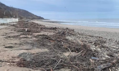 PLAGE : nos services nettoient une plage qui a beaucoup été souillée par les dernières tempêtes