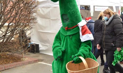 ANIMATIONS : notre Marché de Noël en photos