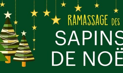 INFORMATION DE LA MAIRIE : ramassage des sapins de Noël