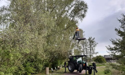 LA MAIRIE A VOTRE SERVICE : environnement et espaces verts. Les élagages annuels sont en cours. Explications