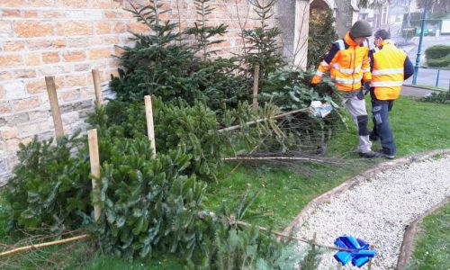 LA MAIRIE À VOTRE SERVICE : le démontage des sapins mis en place dans la Commune à l’occasion des fêtes de fin d’année a débuté