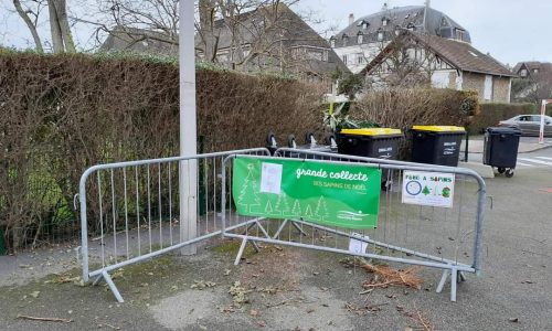 PROPRETÉ : fin aujourd’hui de la collecte des sapins