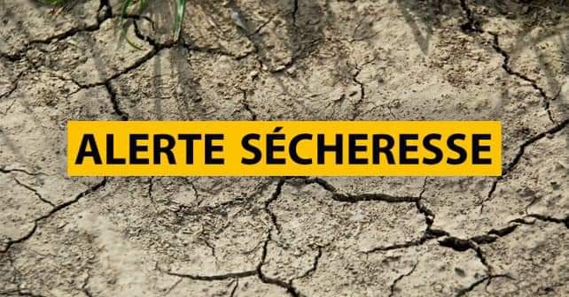 https://www.villers-sur-mer.fr/wp-content/uploads/2022/05/FB_IMG_1653339339343.jpg