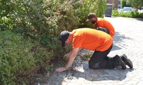 LA MAIRIE A VOTRE SERVICE : notre service « espaces-verts » en action
