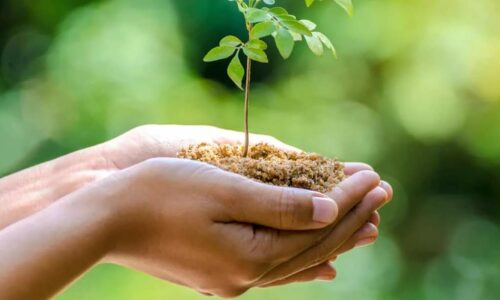 ENVIRONNEMENT : notre politique environnementale s’est considérablement développée. Lire ci-dessous