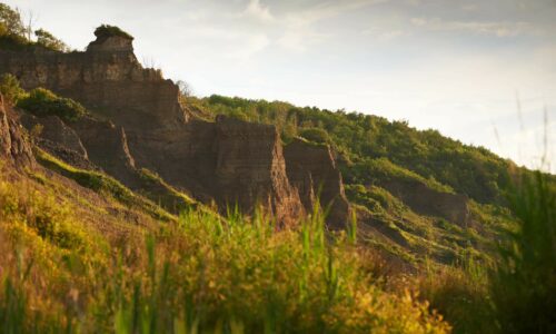 PALÉOSPACE : découverte d’un os fossile de dinosaure