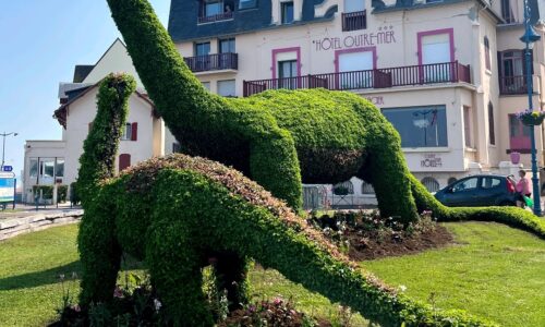 Merci à Dominique Lenue qui a partagé avec nous ce cliché du dinosaure végétal et de son petit, qui ont retrouvé leur place, samedi, à Villers-sur-mer.