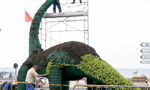 Venez trinquer avec le dinosaure végétal !