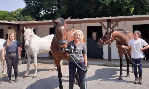 Équitation | L’école de la Villedieu multi-récompensée
