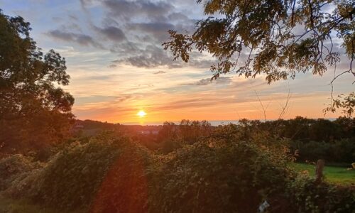 La photo du lundi | Étreinte naturelle