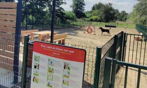 Bien-être animal | Villers-sur-Mer inaugure son caniparc