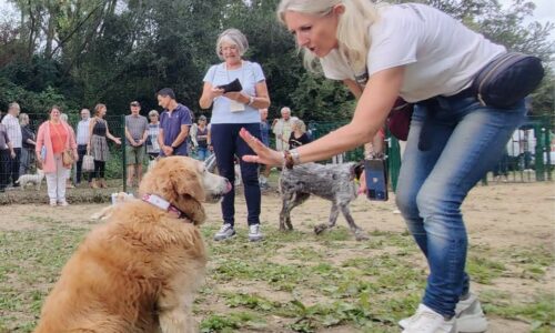 Bien-être animal | L’inauguration du caniparc fait le plein