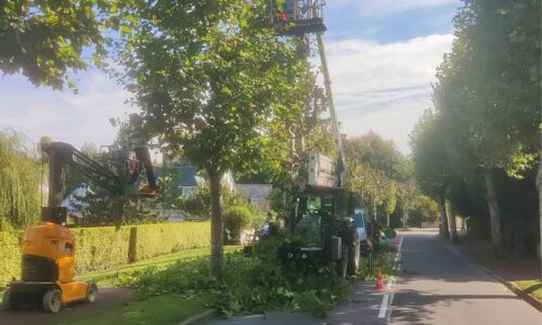 Travaux | Élagage sur l’Avenue de la Brigade Piron