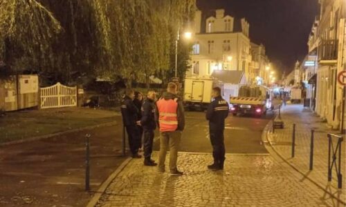 La mairie à votre service | De la coquille aux jonquilles !