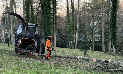 Élagage | Le parc San Carlo fermé au public