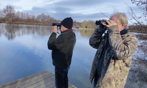 Recensement | Chez les animaux du marais aussi !