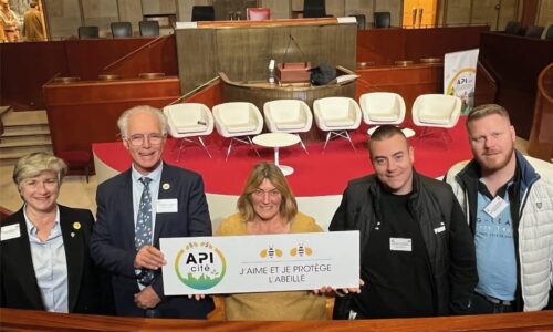 APICITÉ | Journée mondiale des abeilles