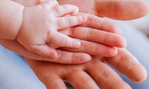 Parentalité | Cercles de parents