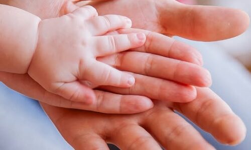 Parentalité | Cercles de parents