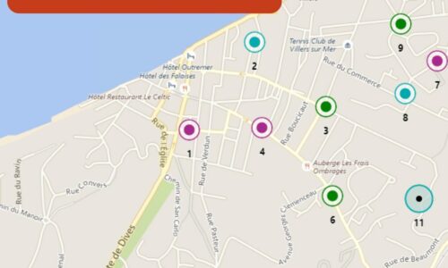 Environnement | Enlèvement des sapins naturels