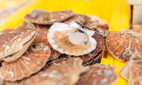Fête de la Coquille & de la Gastronomie | Stationnement et circulation du 19 au 26 octobre